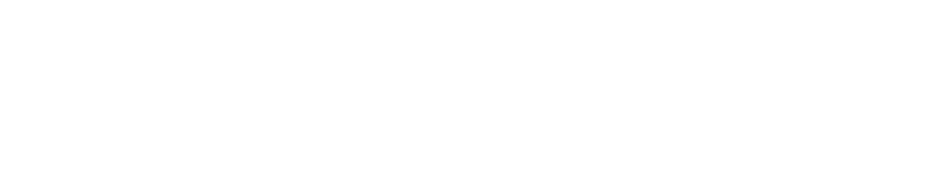 Baho Group
